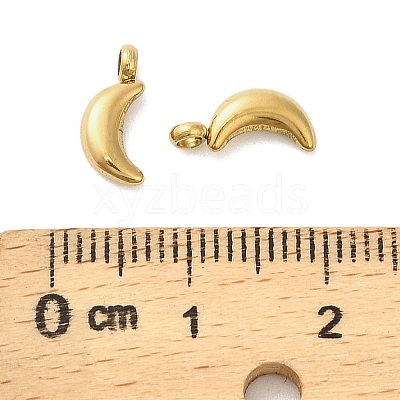 304 Stainless Steel Charms STAS-M017-14C-G-1-1