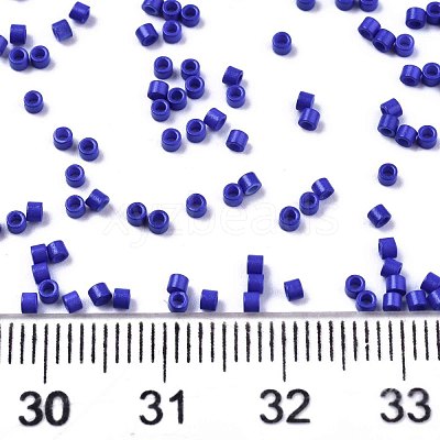 FGB 11/0 Grade A Glass Seed Beads SEED-S030-1024-1