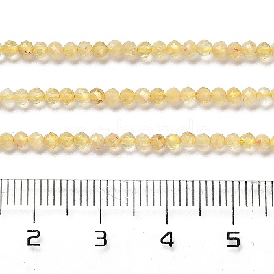 Heated Natural Citrine Beads Strands X-G-Z074-A03-01-1