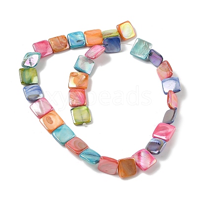 Natural Freshwater Shell Beads Strands SHEL-K006-54-1