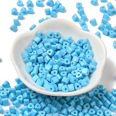 Baking Paint Glass Bead SEED-H002-K-D303-1