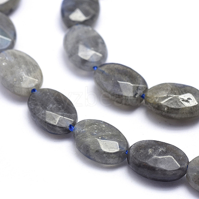 Natural Labradorite Beads Strands G-K223-62B-1
