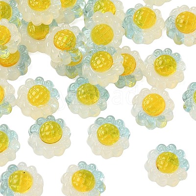 Translucent Resin Beads RESI-D312-04A-1
