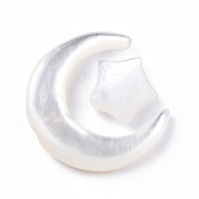 Natural White Shell Beads Sets SSHEL-N032-52A-01-1