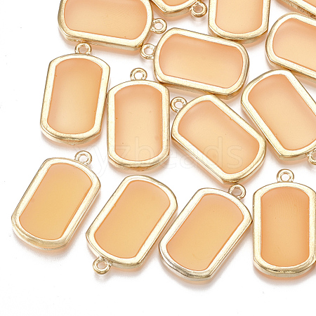 Epoxy Resin Pendants PALLOY-T056-55B-1