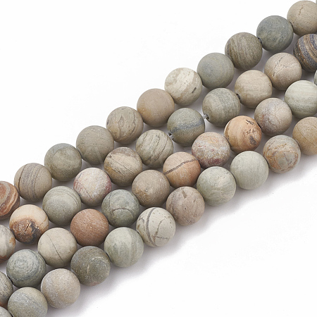 Natural Silver Leaf Jasper Beads Strands G-T106-236-1