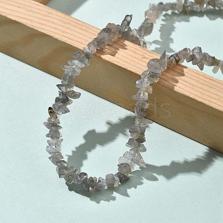 Natural Labradorite Chip Beaded Necklaces for Men Women NJEW-G159-01W-1