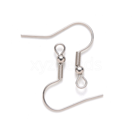 Tarnish Resistant 304 Stainless Steel Earring Hooks X-STAS-S111-001-1