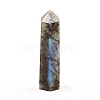 Point Tower Natural Labradorite Home Display Decoration PW-WG04107-18-1