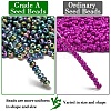 FGB 8/0 Grade A Round Glass Seed Beads SEED-Q008-3mm-F1109-2