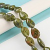 Natural Unakite Beads Strands G-K357-A12-01-2