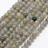 Natural Labradorite Beads Strands G-P322-29-4mm-1