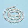 Natural Cultured Freshwater Pearl Beads Strands PEAR-F018-05-01-3