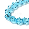 Imitation Austrian Crystal 5301 Bicone Beads X-GLAA-S026-6mm-06-3