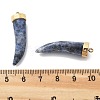 Natural Sodalite Horn Pendants STAS-R130-03G-01-3