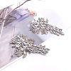 Crystal Rhinestone Ornament Accessories DIY-WH0304-341-1