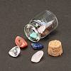 Transparent Glass Wishing Bottle Decoration LS-DJEW-A001-01C-16-4