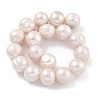 Natural Cultured Freshwater Pearl Beads Strands PEAR-C003-21E-4