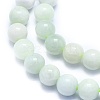 Natural Myanmar Jade/Burmese Jade Beads Strands G-K310-C05-8mm-3