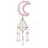 Natural Rose Quartz & Crystal Quartz Hanging Ornaments PW-WG53972-03-1