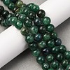 Natural Fuchsite Beads Strands X1-G-D470-12B-1-2