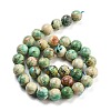 Natural Peruvian Turquoise(Jasper) Beads Strands G-Z062-A01-03-3