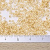 MIYUKI Delica Beads Small SEED-JP0008-DBS0100-4