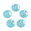 Synthetic Turquoise Charms G-L561-001T-1