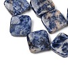 Natural Blue Spot Jasper Beads Strands G-L239-17-4