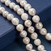 Natural Baroque Pearl Keshi Pearl Beads Strands PEAR-Q004-36-4