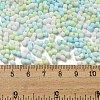 Macaron Color Opaque Frosted Glass Seed Beads SEED-K009-12B-03-4