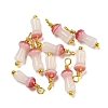 Mushroom Glass Charms KK-C046-02B-1