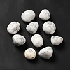 Natural Howlite Beads G-G979-A04-1