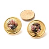 304 Stainless Steel Natural Agate Crystal Stud Earrings EJEW-R012-02G-03-3