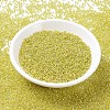 MIYUKI Round Rocailles Beads SEED-X0054-RR1006-2