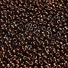 TOHO 8/0 Round Beads SEED-TR08-0501-2
