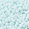 6/0 Glass Seed Beads SEED-M012-01A-13-3