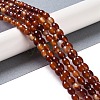 Natural Red Agate Beads Strands G-NH0011-I01-02-1