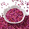 Baking Paint Glass Seed Beads SEED-S042-05A-09-2