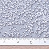 MIYUKI Round Rocailles Beads X-SEED-G007-RR1104-4