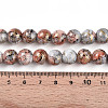 Baking Paint Glass Beads Strands DGLA-N003-10mm-B05-5