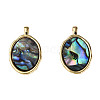 Synthetic Abalone Shell/Paua Shell Pendants X-KK-N233-254-2