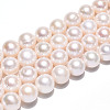 Natural Cultured Freshwater Pearl Beads Strands PEAR-N016-11B-2