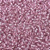 MIYUKI Round Rocailles Beads X-SEED-G007-RR1349-3