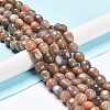 Natural Black Sunstone Beads Strands G-C038-02A-2