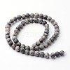 Frosted Round Natural Map Stone/Picasso Stone/Picasso Jasper Bead Strands G-J346-04-6mm-2