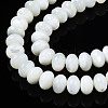 Natural Trochid Shell/Trochus Shell Beads Frames Strands SSHEL-S266-028-3