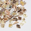 Dyed Natural Freshwater Shell Chips Beads SHEL-A003-A03-1