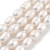 Natural Cultured Freshwater Pearl Beads Strands PEAR-P062-08H-2