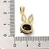 Rack Plating Brass Micro Pave Cubic Zirconia Pendants KK-P241-20G-04-3